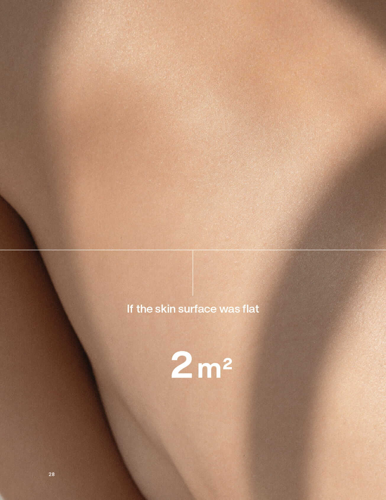 Chapter 2: The Skin Ecosystem
